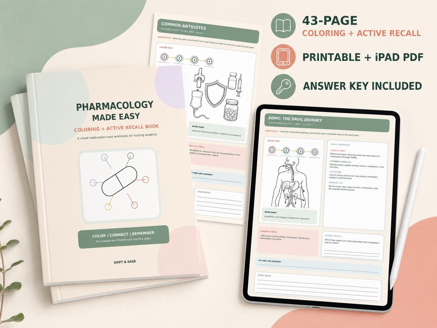 Pharmacology Coloring Book for Nursing Students | 43-Page Active Recall Workbook (Digital Download)