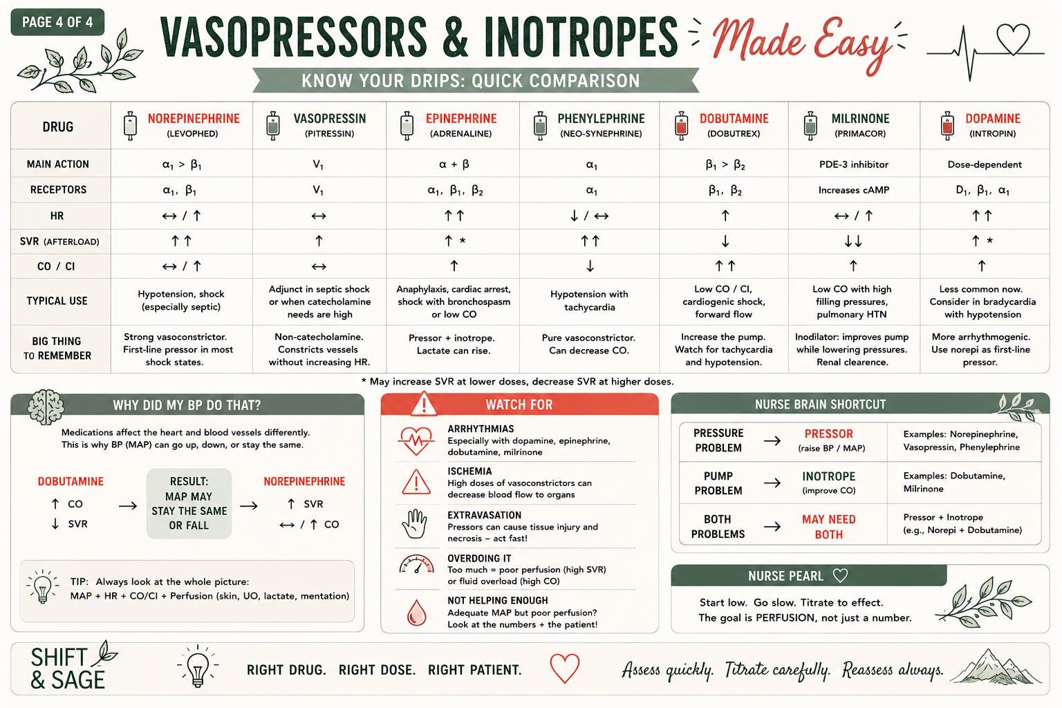 Vasopressors Made Easy Nursing Study Guide, ADHD-Friendly ICU Drip Reference, Printable PDF