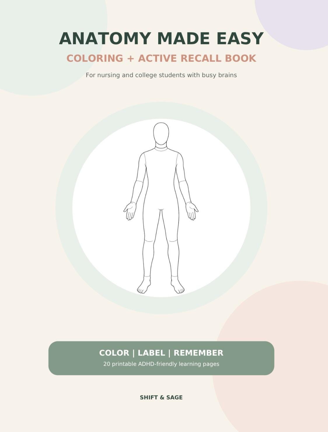 Anatomy Made Easy Coloring Book | Nursing Student Study Guide (PDF), view 4