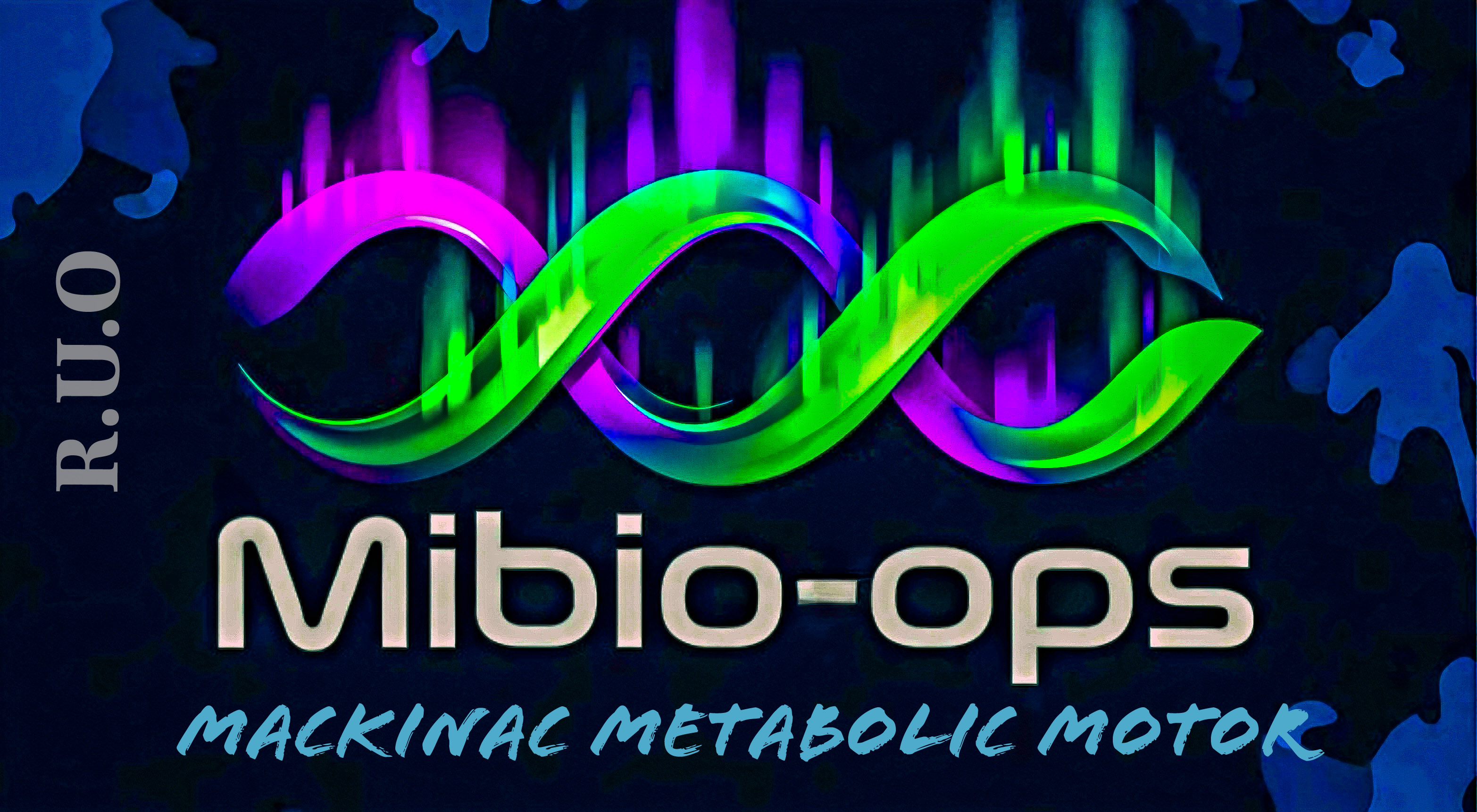 Mackinac Metabolic Motor research material graphic