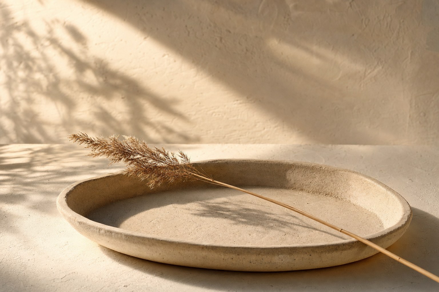 A slender dried reed on a sandstone tray in amber sunlight