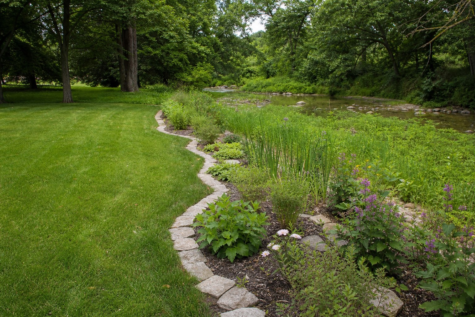 Healthy backyard lawn and native planting near a small waterway