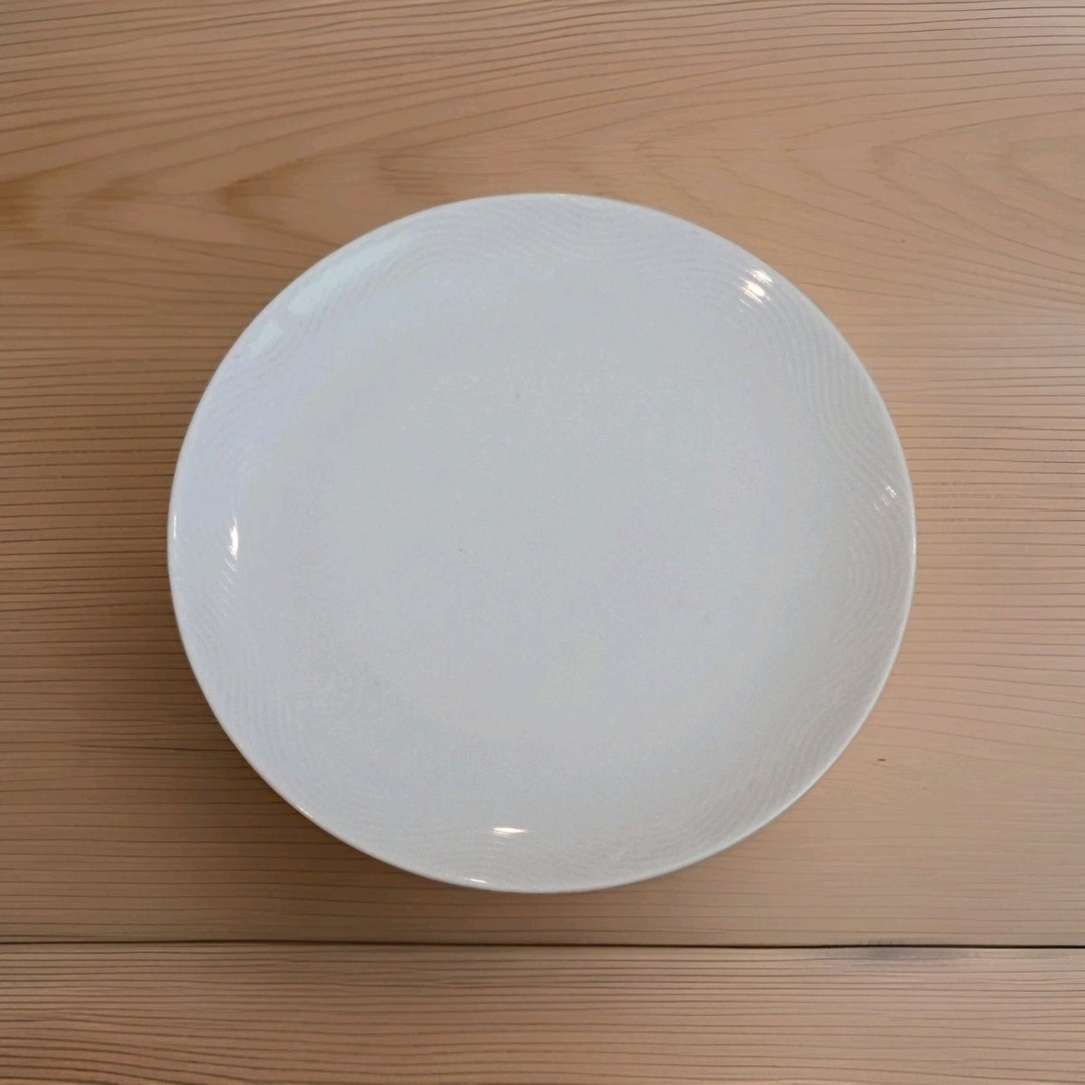 BAUSCHER WEIDEN PAN AM AIRLINES 8 1/2" 1st Class DINNER PLATE WAVE PATTERN 