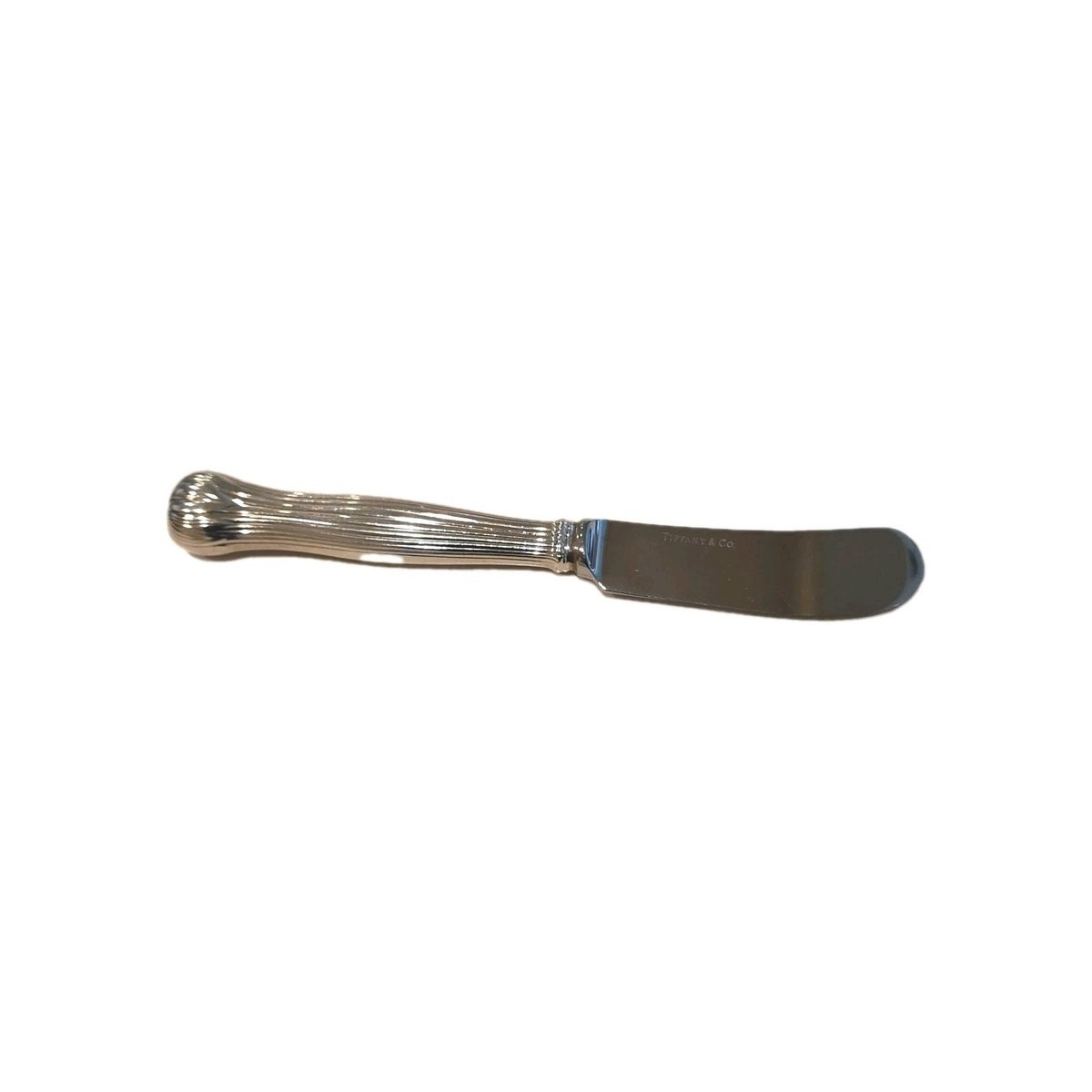 Botanical By Tiffany Sterling Silver Butter Spreader Hollow Handle 6"