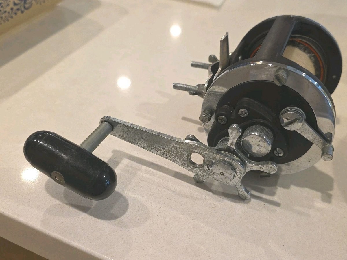 DAIWA Deep Sea Line 50H Fishing Reel Made in Japan Fish