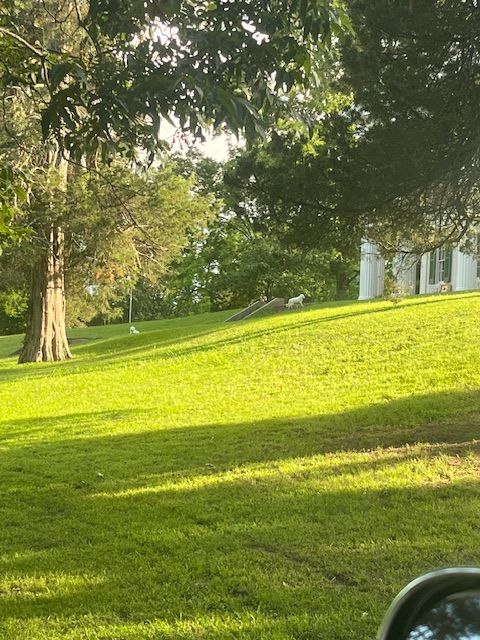 Sunlight across the grounds