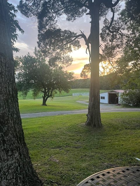 Sunset across the lawn