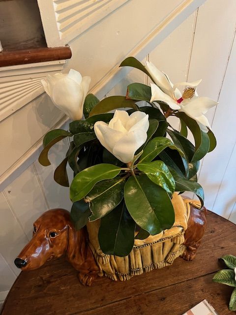White flowers on a table
