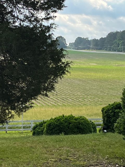 An open view across the pasture