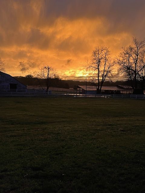 A glowing sunset over the pasture