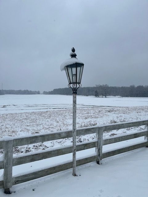 A lantern and fence in the snow