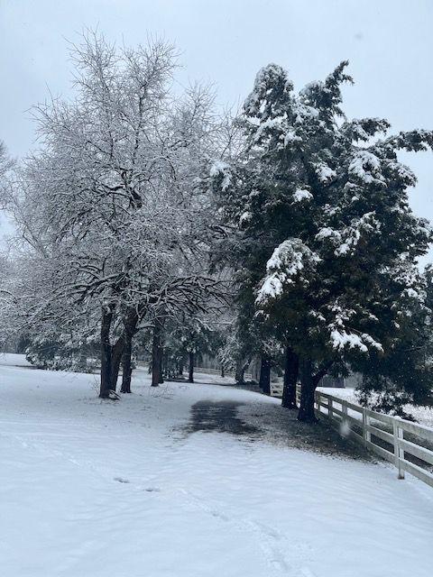 Snow across the estate grounds