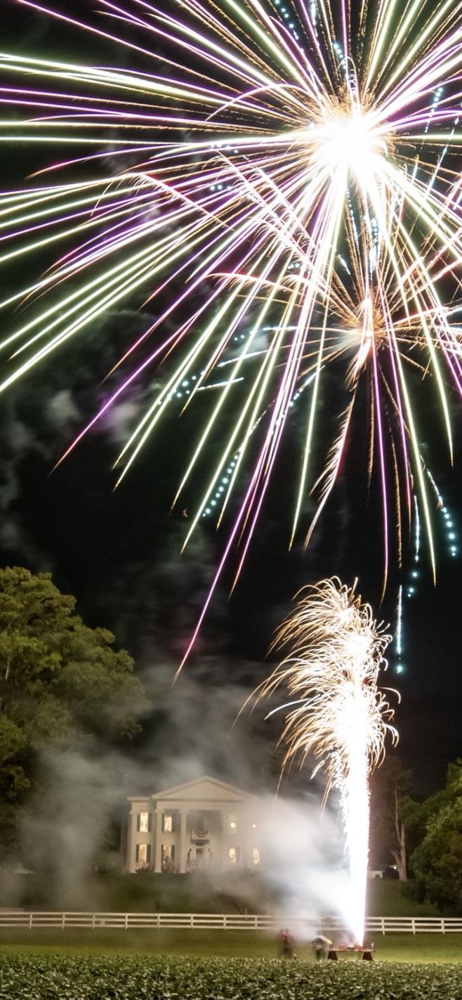Fireworks lighting the night sky