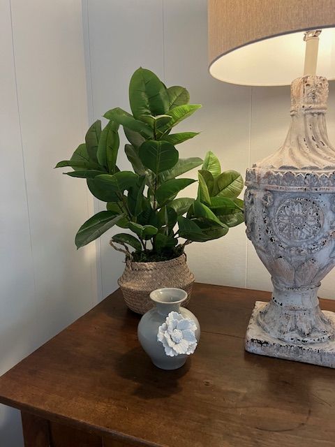 A plant and lamp on a side table