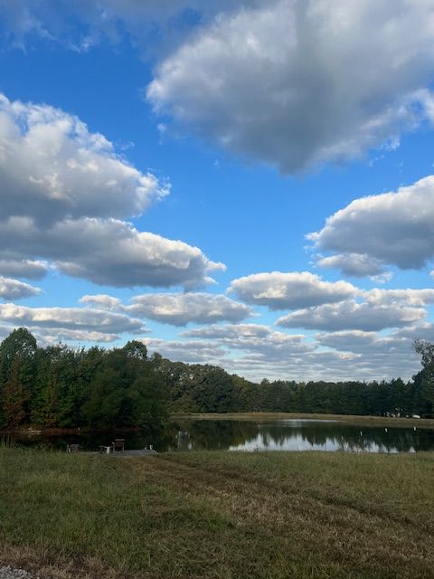 Clouds above the open pasture