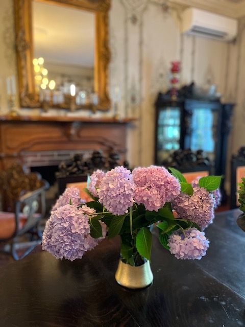 Pink hydrangeas in the sitting room