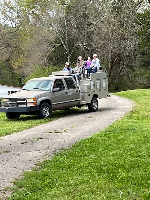 Vehicles beside the wooded grounds