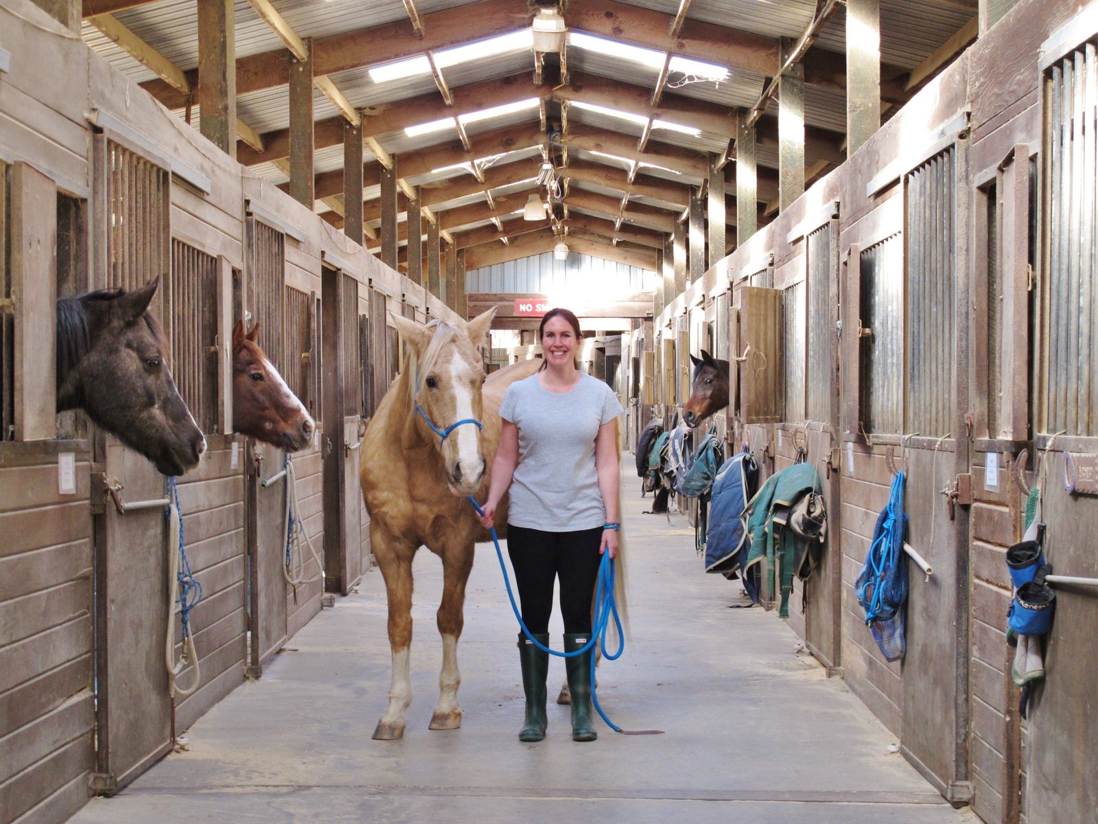 A horse handler with horses in a stable aisle