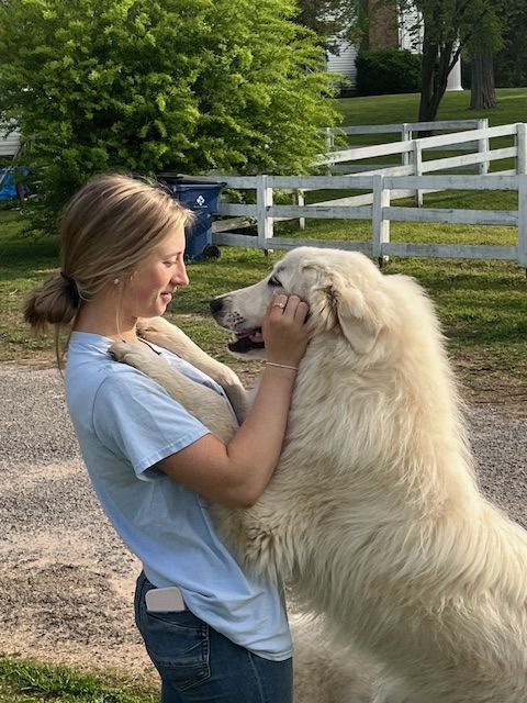 A visitor greeting a dog at Woodlawn