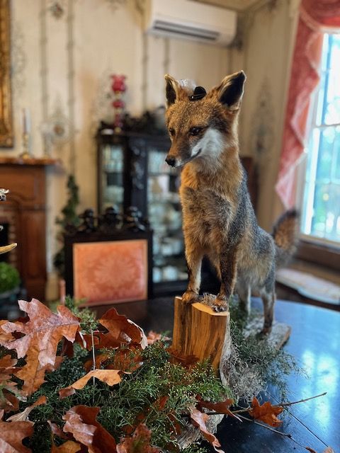 A fox display in a historic room
