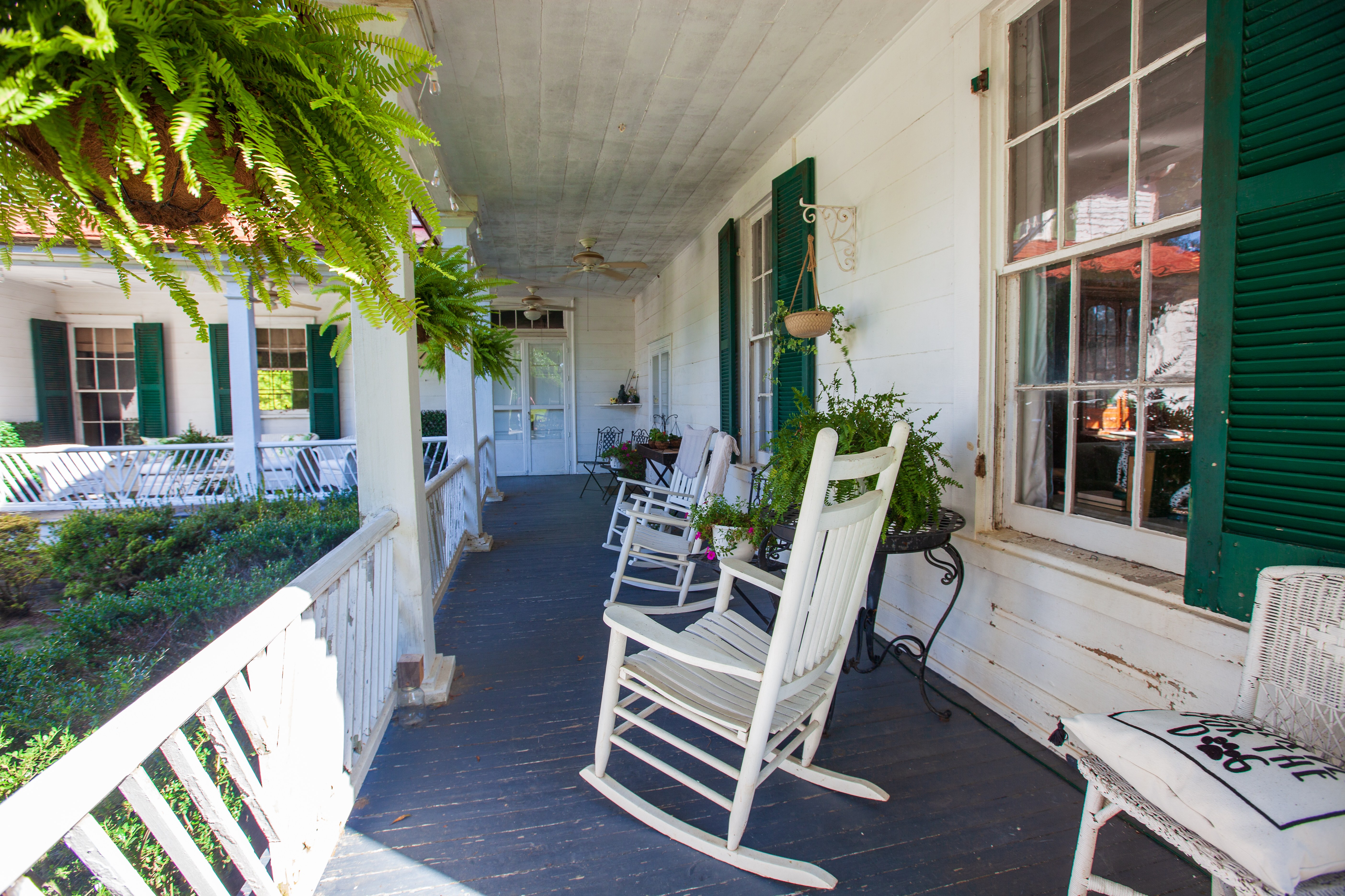 Landscape at Woodlawn Plantation