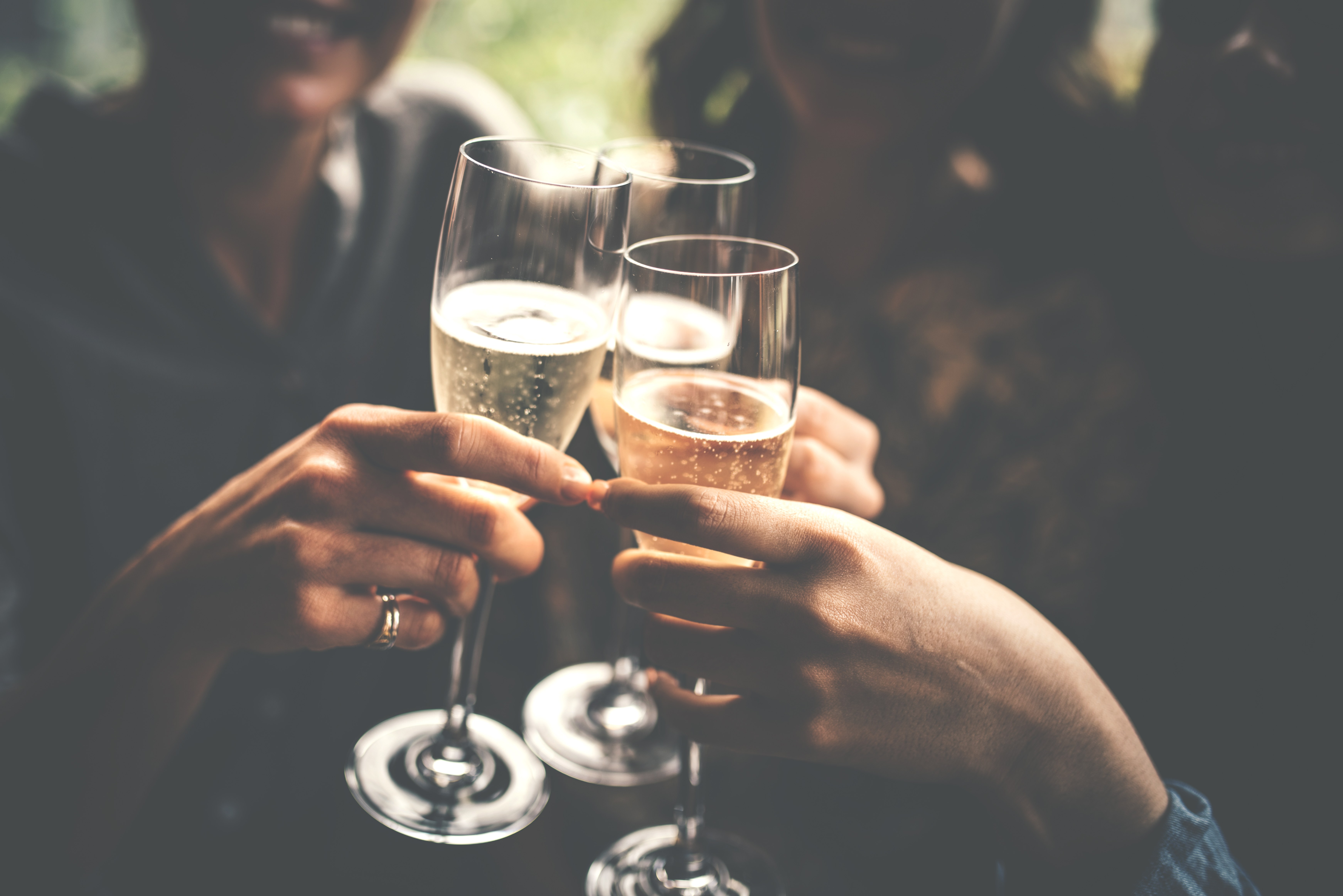 Guests raising glasses in a toast