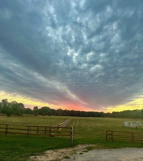 Sunset over the pasture