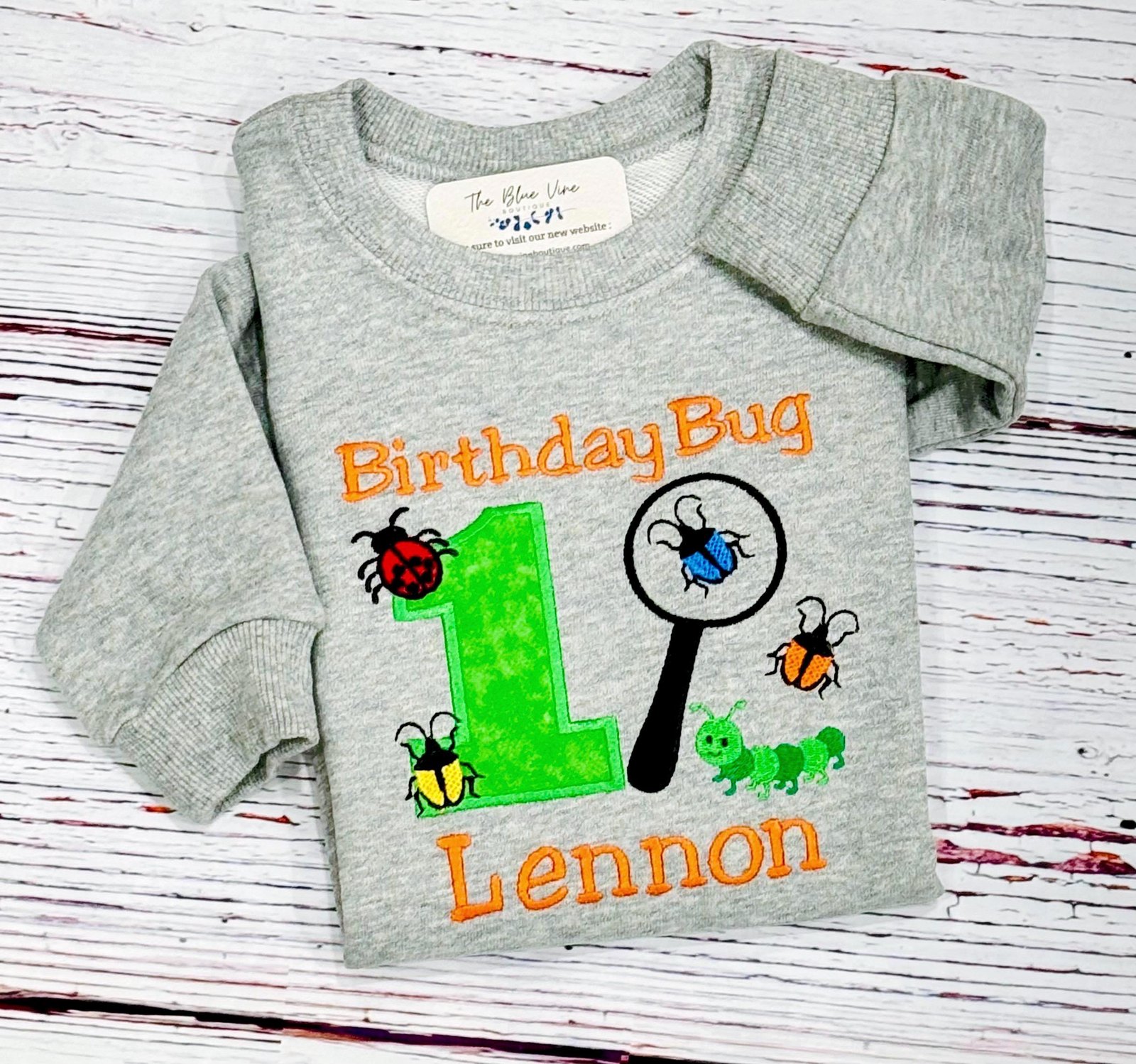 SWEATSHIRT Bug Birthday: Personalized Embroidered Insect First Birthday Outfit Any Age