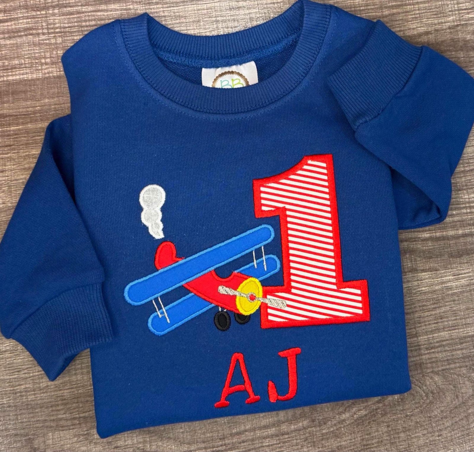 SWEATSHIRT Airplane Birthday: Embroidered Bi Plane Party Tee, Any Age