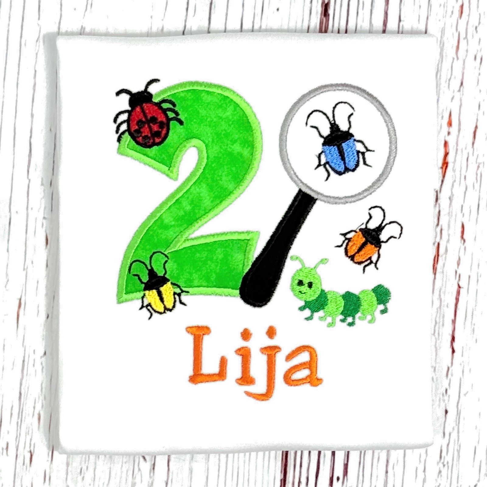 Personalized Bug Birthday Shirt, Embroidered Bug Party Tee, Custom Sibling Shirts