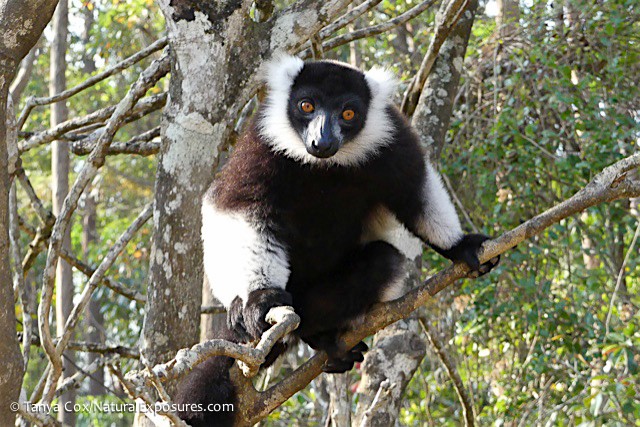 2017 Ultimate Madagascar Photography Tour I photography, photo 1
