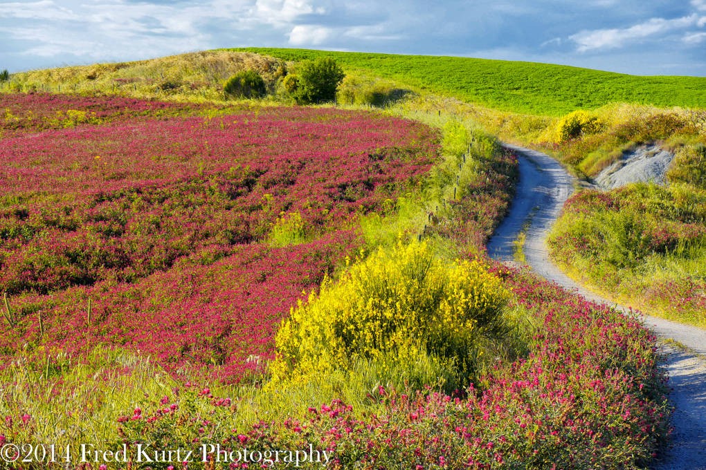 One of Fred's photos from our Italy photo tour.