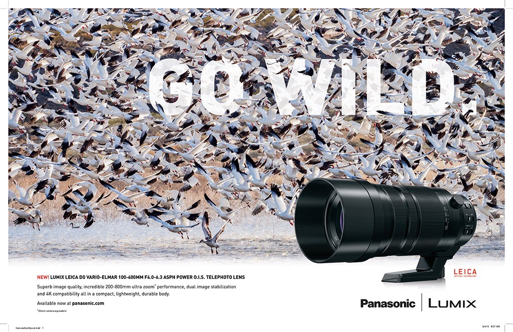 Lumix Professional Services Offer Great Support