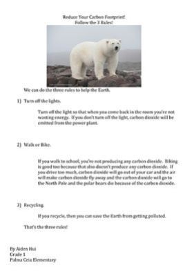 Reduce Your Carbon Footprint