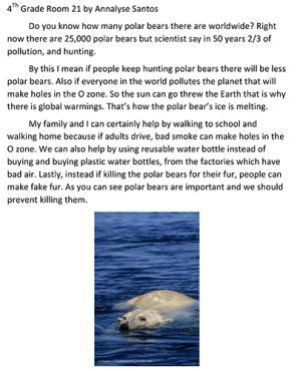 Saving the Polar Bears