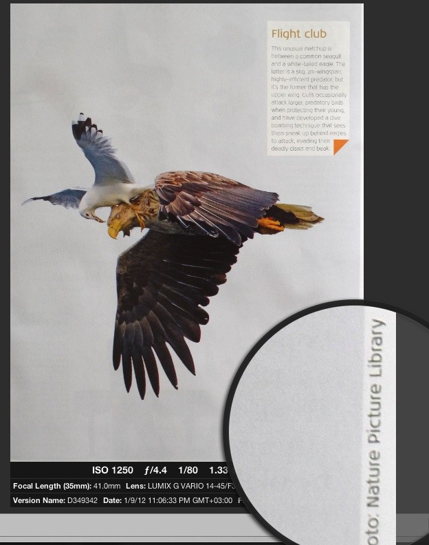 Selling Editorial Photography? Demand a Credit Line!