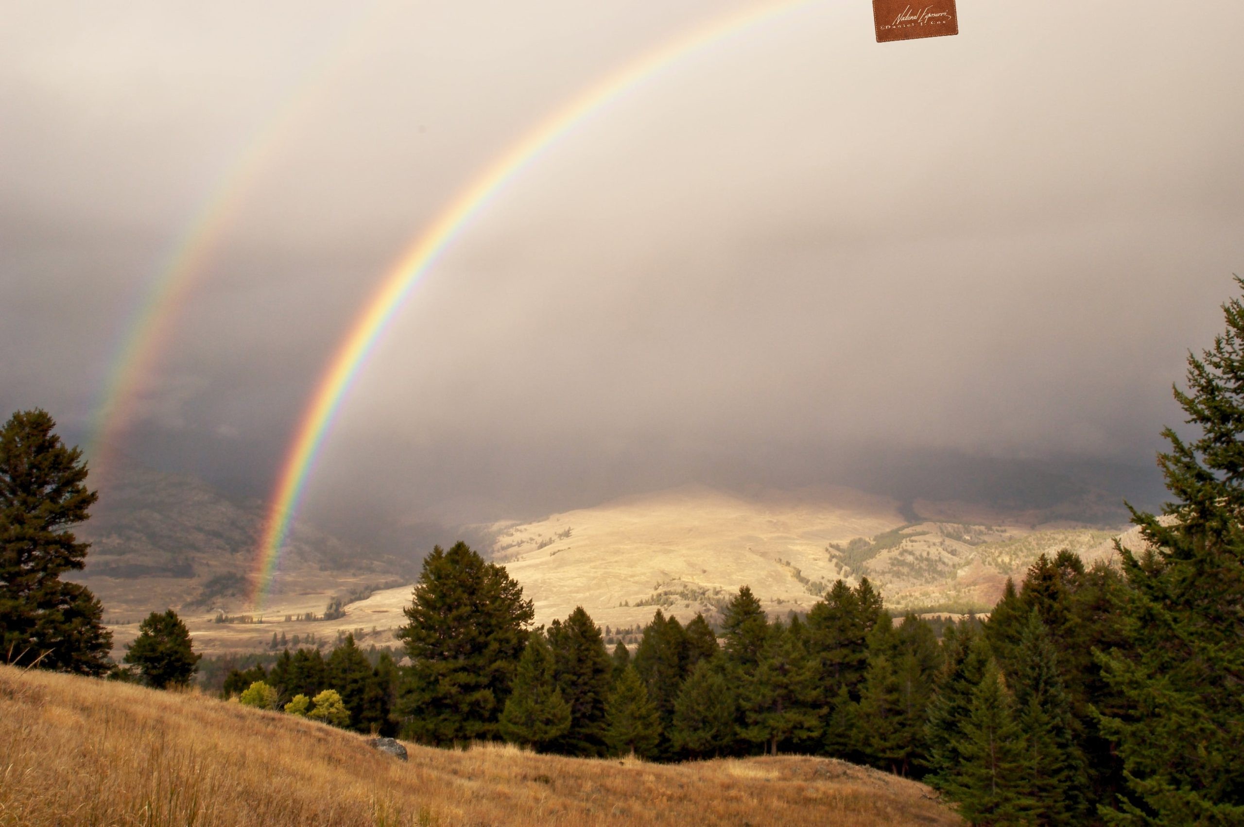 Greater Yellowstone Coalition buys a gold mine