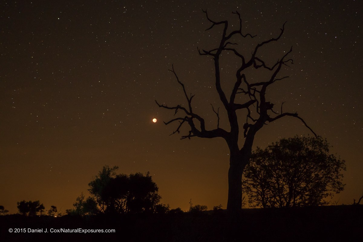 The Blood Moon rises over the Londolozi landscape in South Africa. Lumix GX8 with 15mm Leica Summilux F/1.7 ISO 800