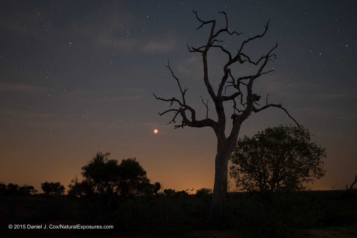 The Lumix Diaries Shoots the Blood Moon in South Africa
