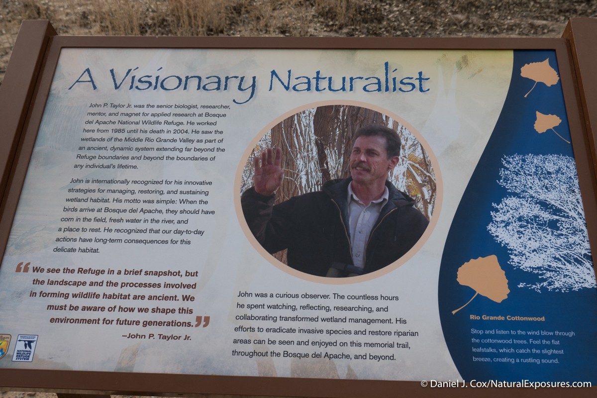 A sign explains the dedicated work of John P. Taylor who spent his time at the refuge as a biologist and outspoken supporter of this wonderful ecosystem. John apparently died at an early age and is memorialized throughout the refuge for his dedicated work.