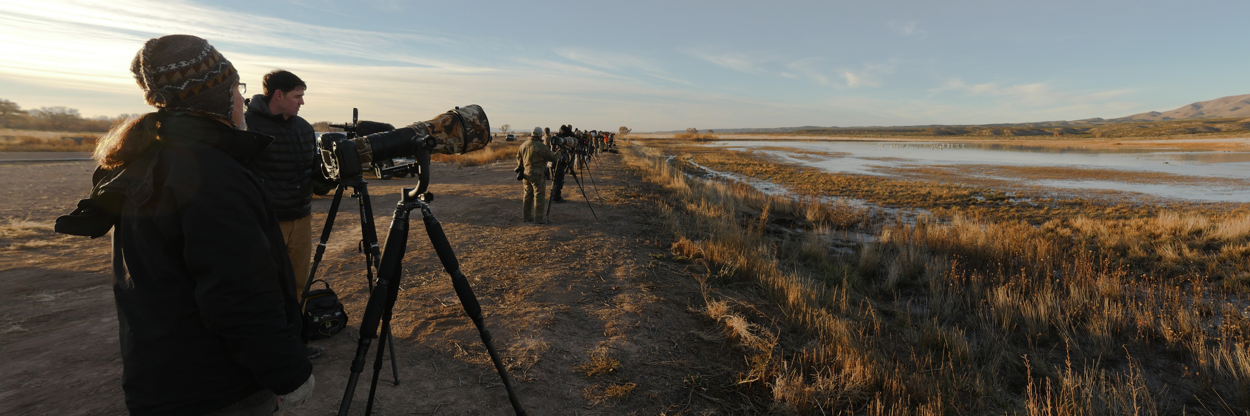 Henry Harrison on the job with a group of other photographers at Bosque del Apache NWR, New Mexico.