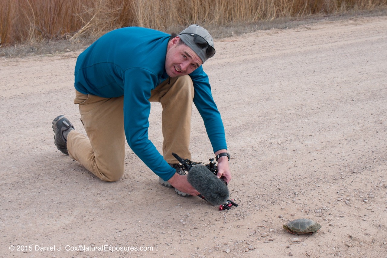 Henry Harrison filming a painted turtle at the Bosque Del Apache National Wildlife Refuge. New Mexico,