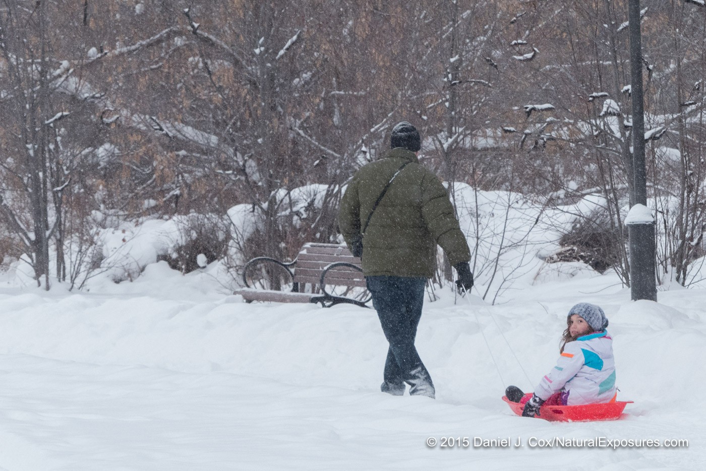 Terry pulling Isabella on a sled through Lindley Park, Bozeman, Montana