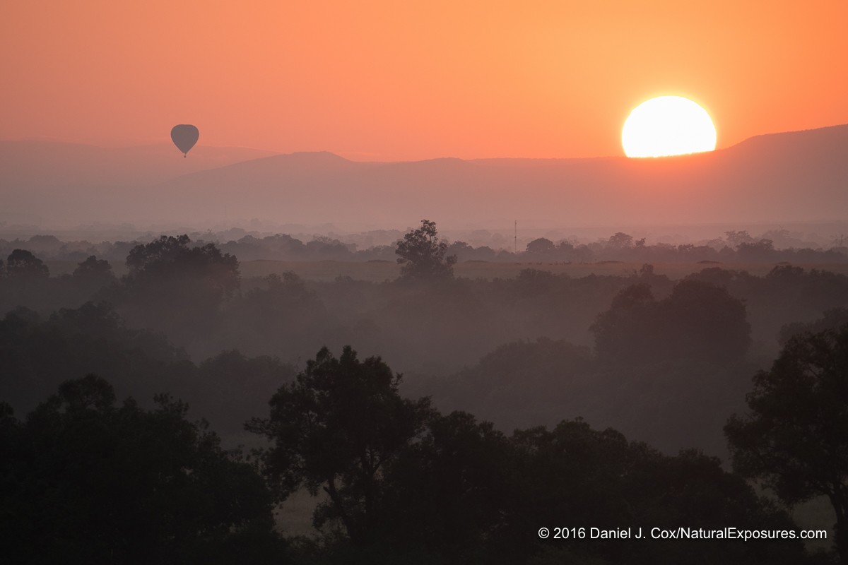 A hot air balloon rises above the Masai Mara Game Reserve at sunrise. Kenya