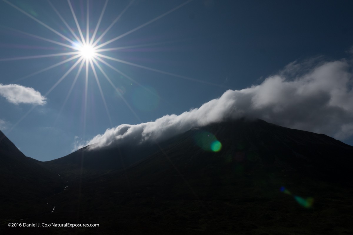 Shooting directly into the sun shows family serious lens flare. Image was shot at F/16 which may be part of the problem. Image above in the tunnel was shot wide open. 