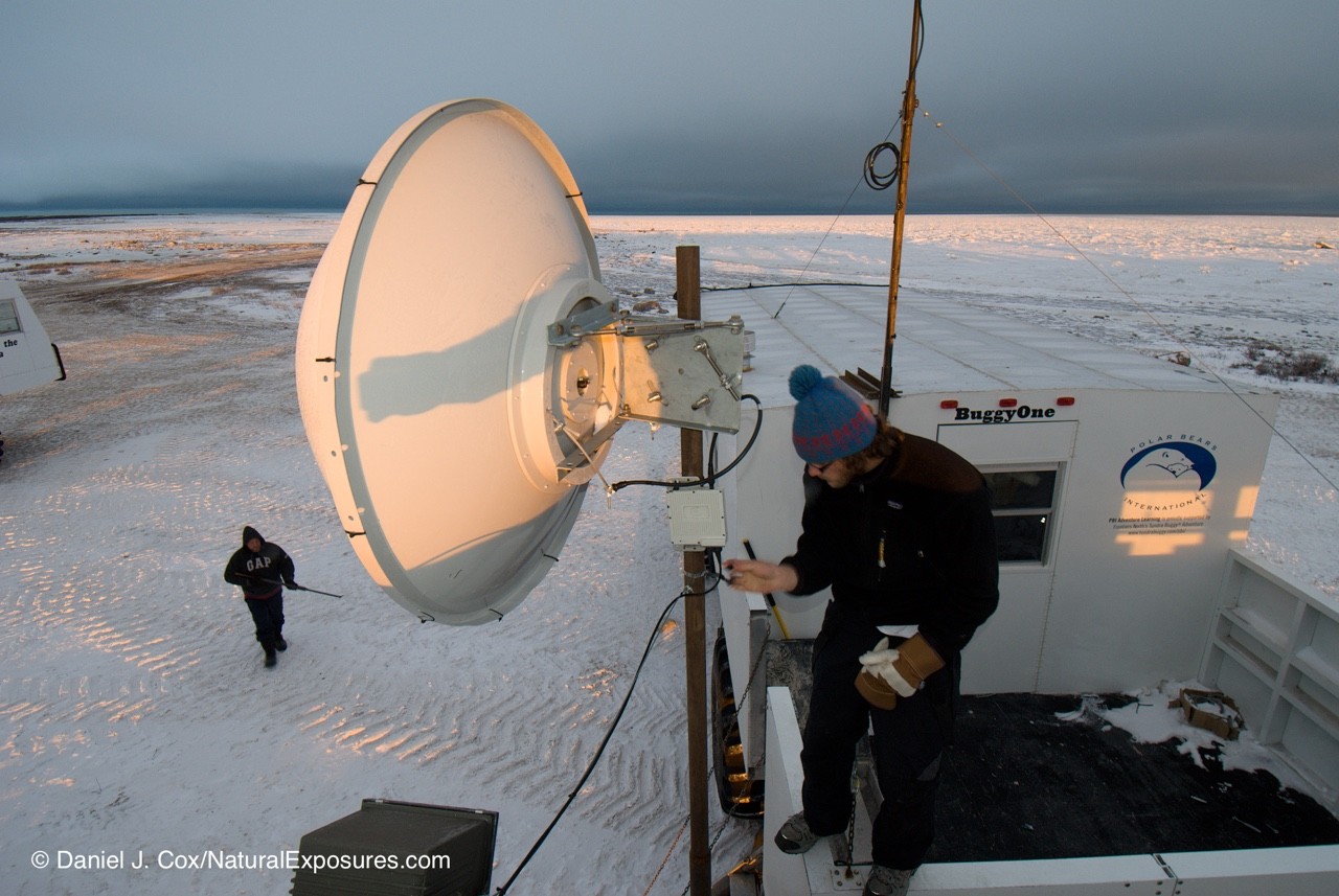 Mylio helping save polar bears