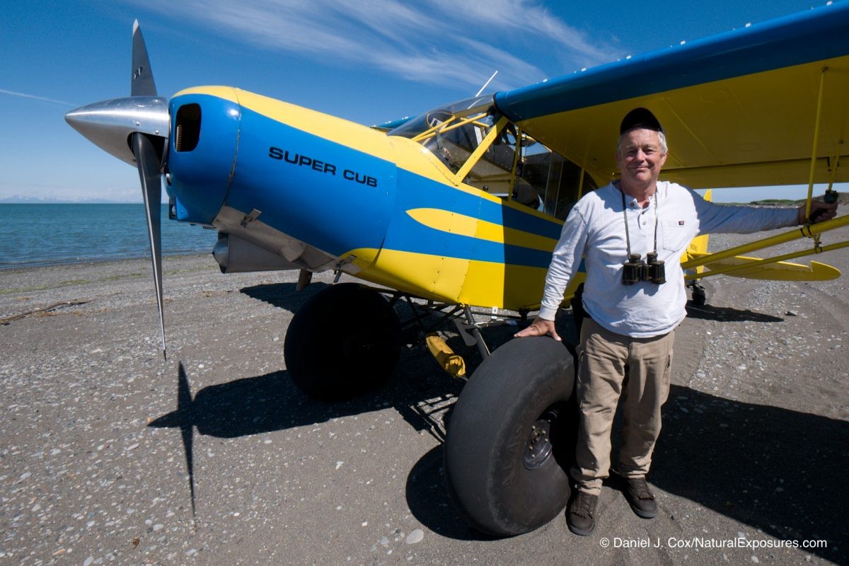 Brown Bears Alaska Bush Plane Adventure