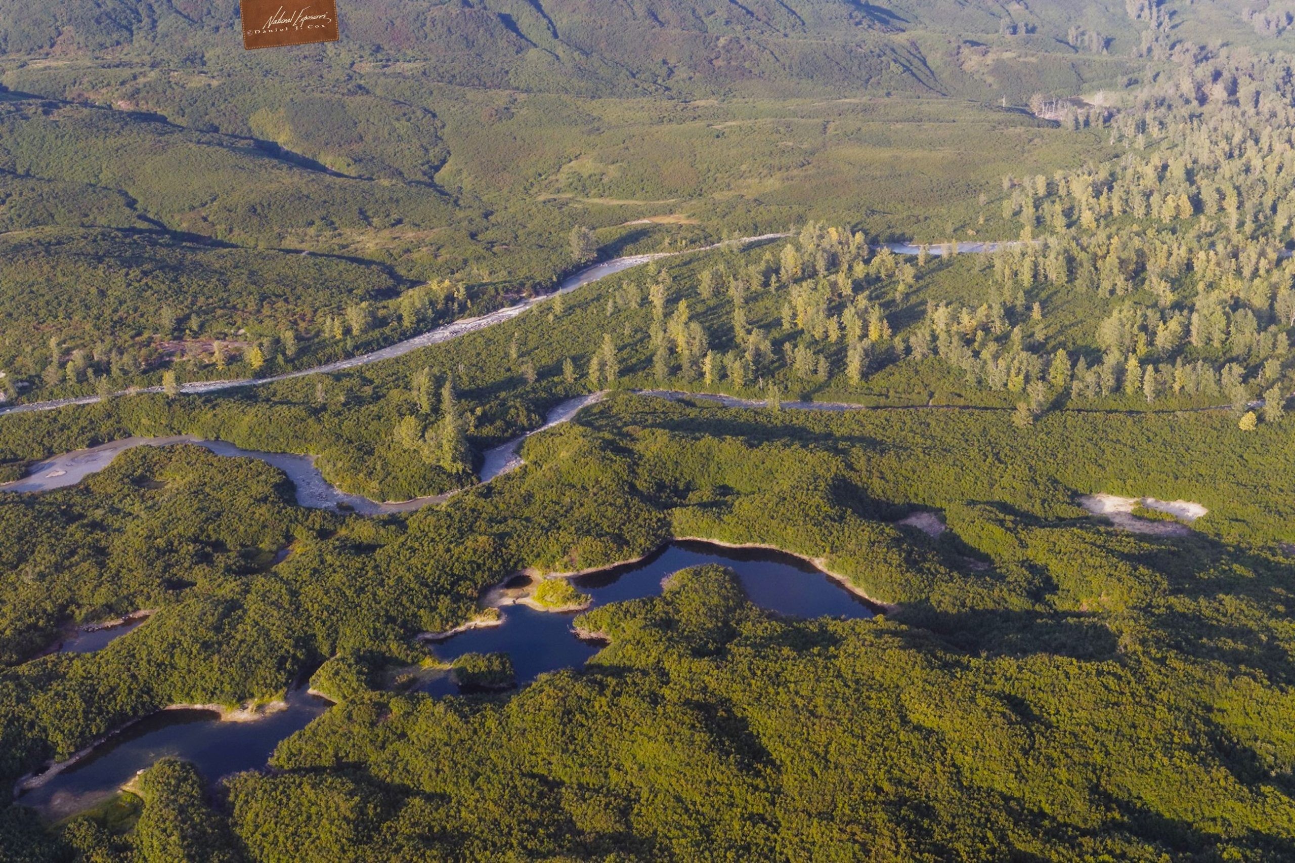 Johnson Gold Mine Road-Add Your Voice!