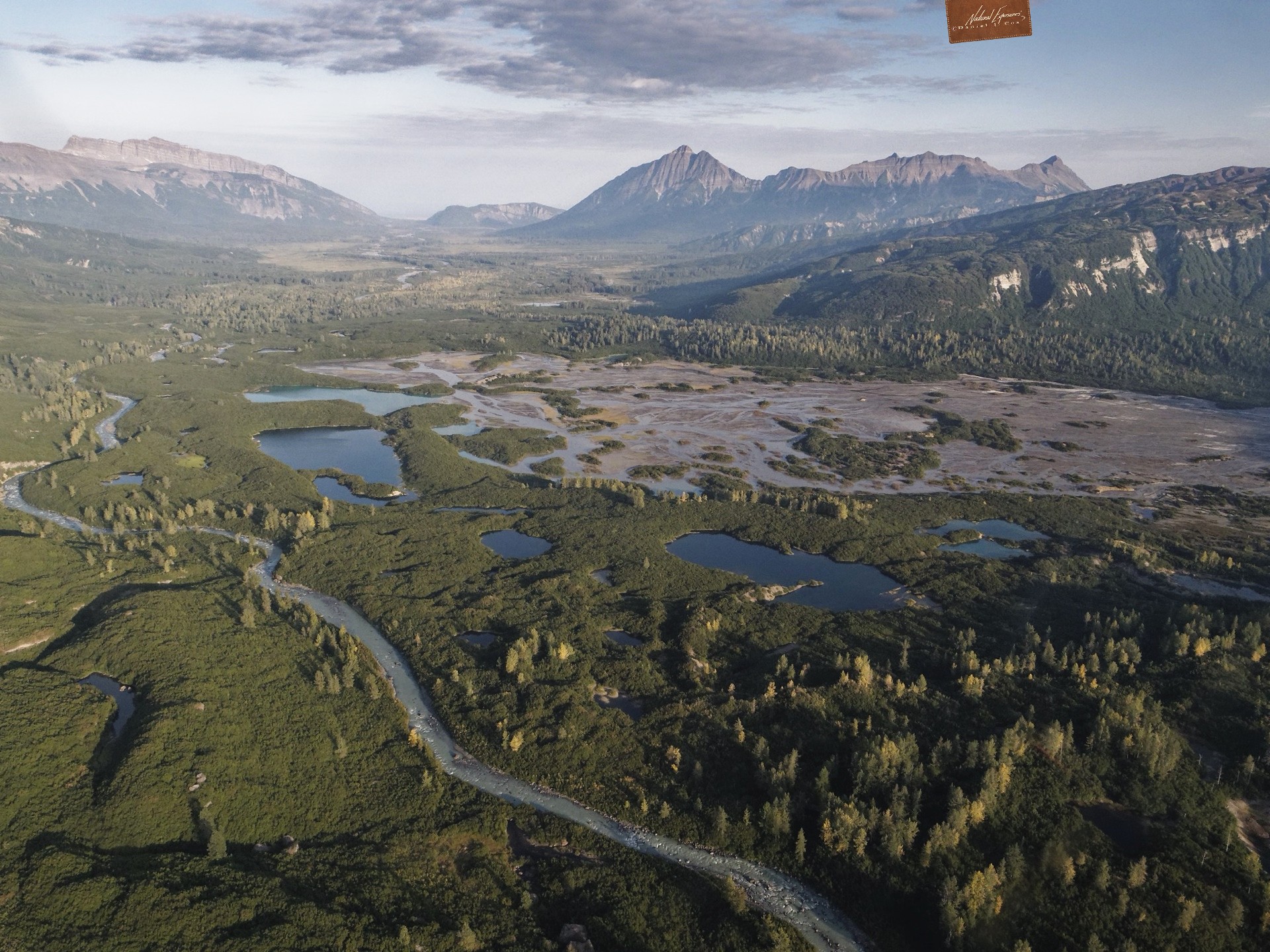 Brown Bear Photography in Peril – Lake Clark National Park’s Coastal Management Plan