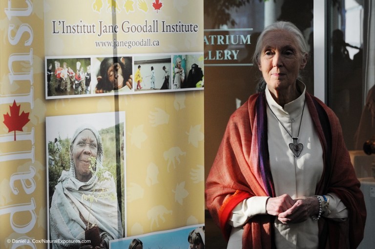 Dr. Jane Goodall, Roots & Shoots, and Polar Bears International